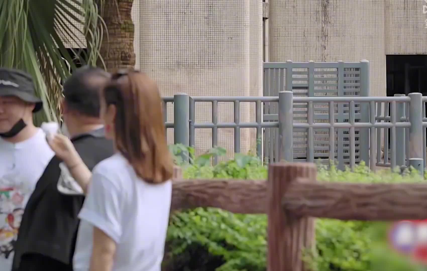 孙越时隔十多年重返动物园，没想到大象依旧听他召唤！太神奇了！