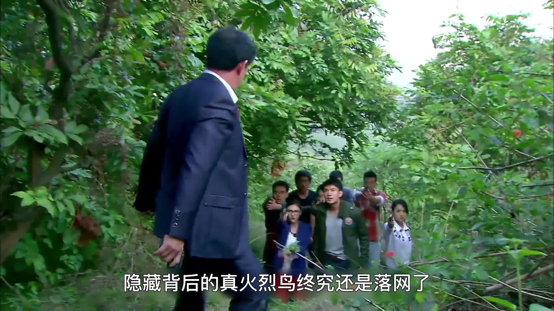 面具41：火烈鸟被擒，真相浮出水面#影视解说