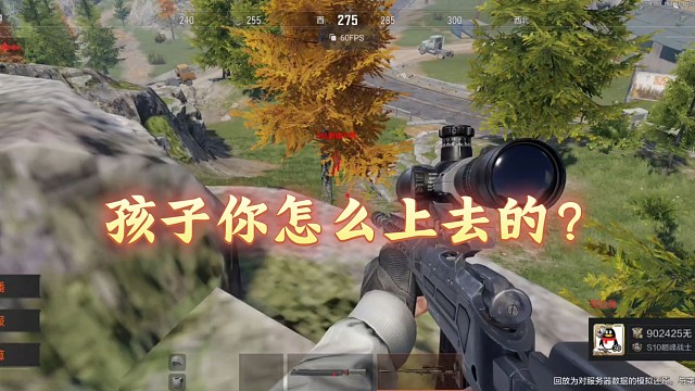 666这谁教的？给我一个队全阴了怎么上的？