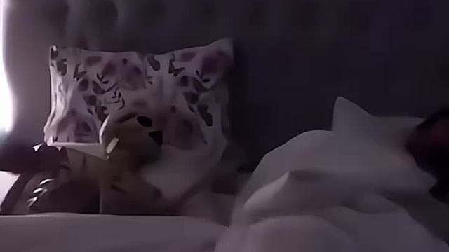 开心时刻到啦，你有没有过那种被吓到的好笑瞬间？