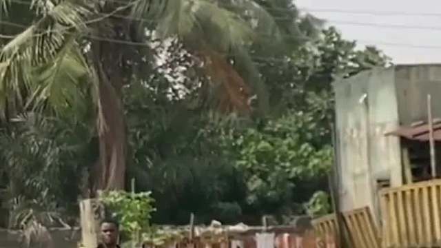 非洲娘们，不是好惹的