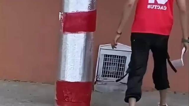 整蛊欢乐狂欢曲