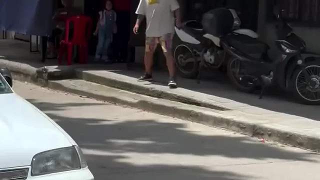 妙趣恶搞奇幻之旅