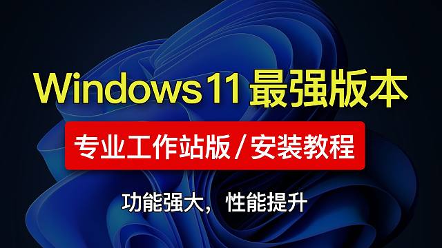 Windows 11 专业工作站版安装教程，windows 11 重装系统安装教学，24h2 安装跳