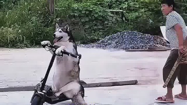 从此自驾进藏的方式又多了一种！