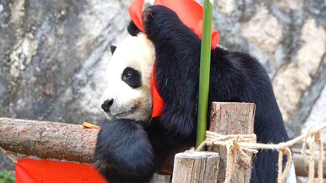 怎么会有这么爱洗脸的小朋友呀~