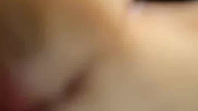 瞧那小猫咪，轻盈一跳，硬控我，瞬间爱到不行！