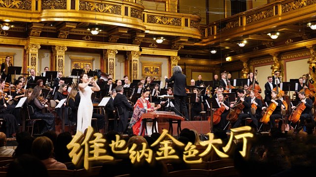 圆梦！中国民乐奏响维也纳金色大厅