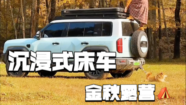 沉浸式床车生活，拥有一辆小猪佩奇房车到底有多爽？