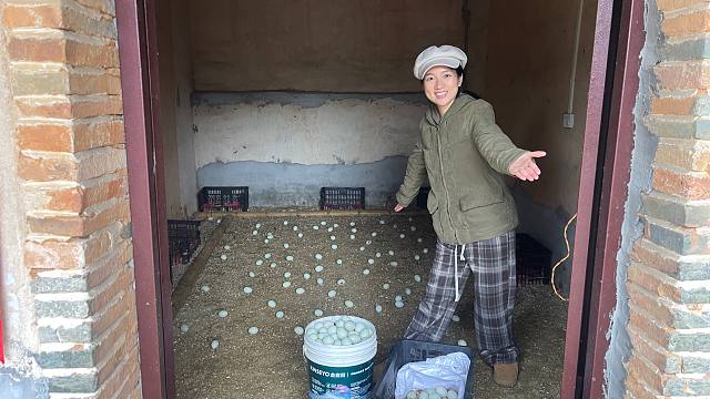 哄个大学妹回村做老婆，陪我一路摸爬滚打，还直呼不后悔，真幸福