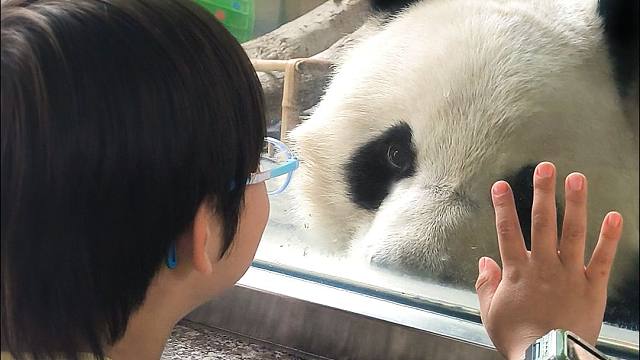 两位宝宝都被互相萌迷糊啦~