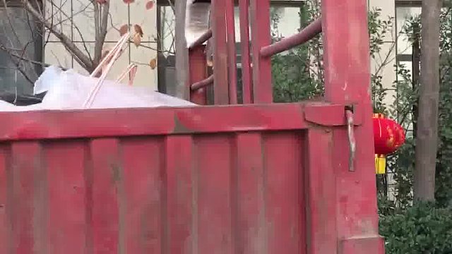 未来电力，从此耀眼