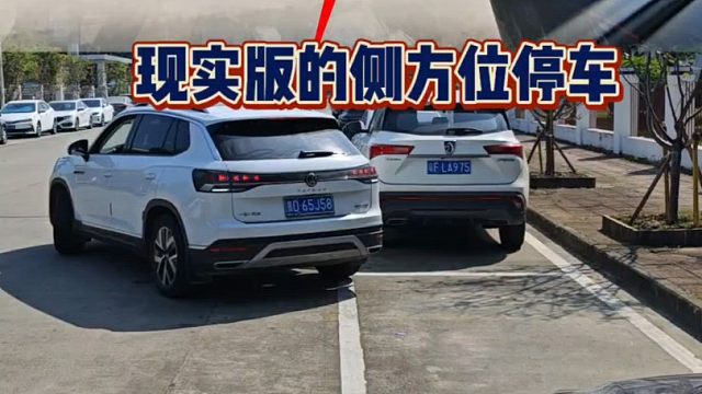 侧方位停车新手一学就会的方法