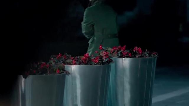 浅冬生寒意，微光暖人心！冬至快乐！#今日冬至 #剧情