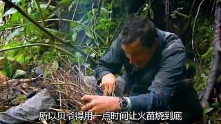 貝爺沼澤荒野求生