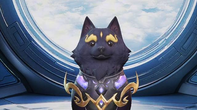 小狗小狗小狗乖乖