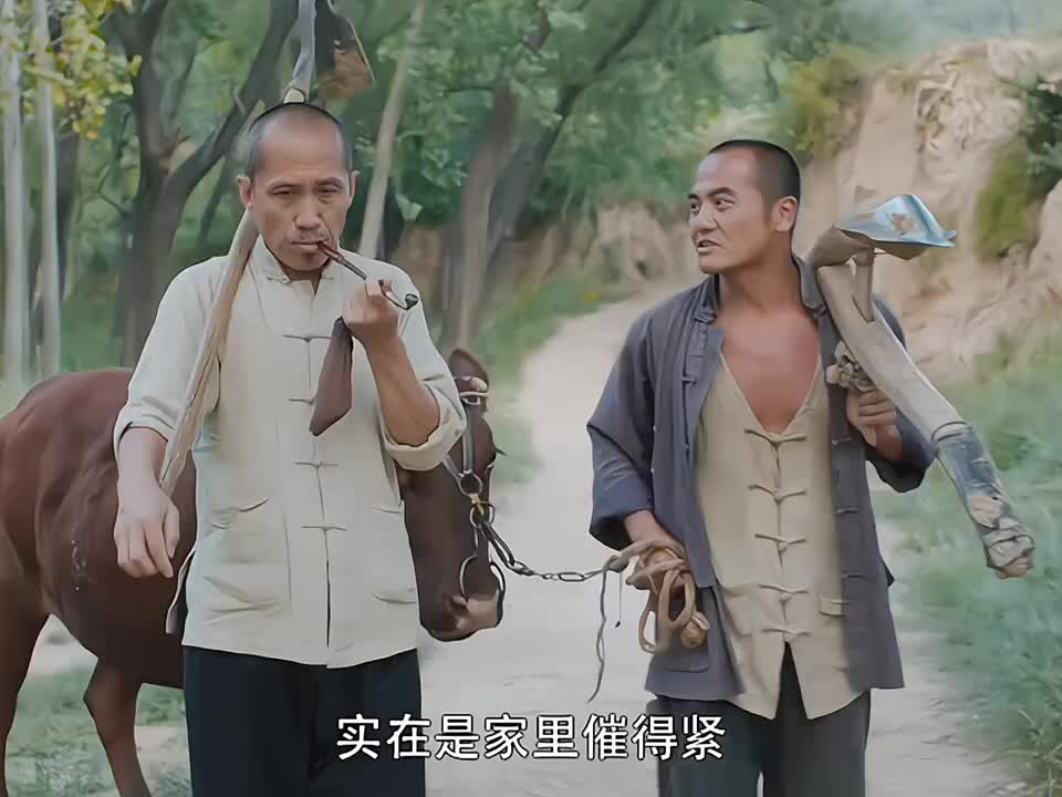 黑娃为了娶走田小娥。仅用一招就让抠门的老丈人满心答应