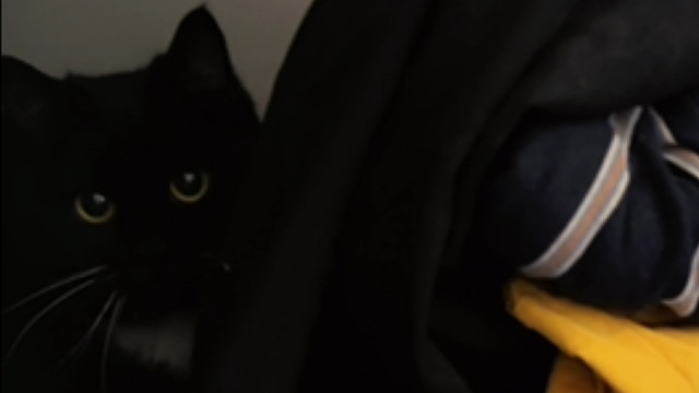 子女不和，难不成还是我的事