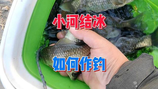 暖冬小河有薄冰，无人作钓能有鱼吗？并不是人多的地方才有鱼