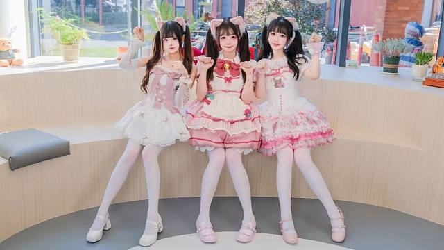 这么可爱的小猫咪居然有三只！！