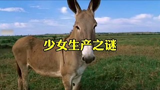 少女生產(chǎn)之謎 #真實(shí)案件
