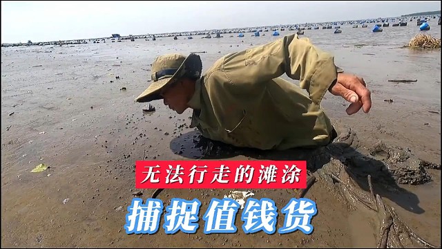 在无法行走的滩涂上寻找海货，淤泥深度一米多，一天下来少得可怜