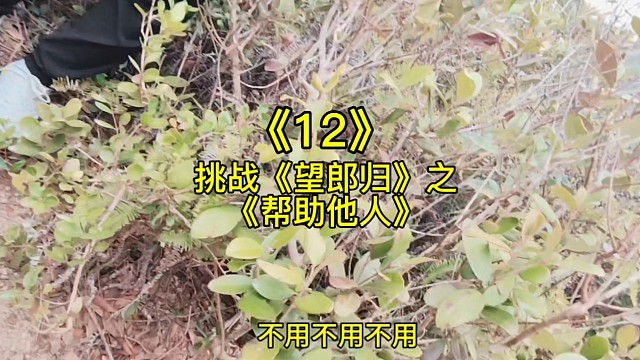 挑战《望朗归12》之《帮助他人》力所能及，一力之行，贵于千金