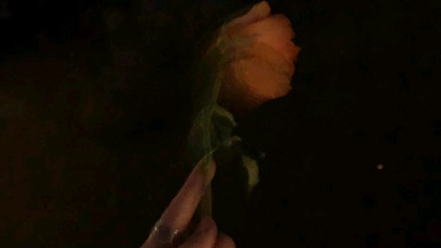 新人报道，通通闪开