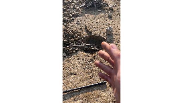 6根大鸡腿在野外是怎么做的