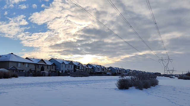 荷兰，百强大学读个博，顺道拿个欧盟绿卡，乌得勒支大学