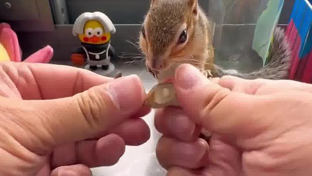 所以你现在只能叫拿铁了