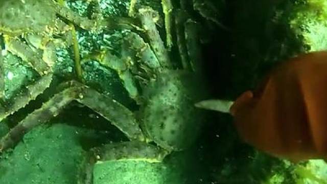 我发布了一个新视频，快来围观吧！