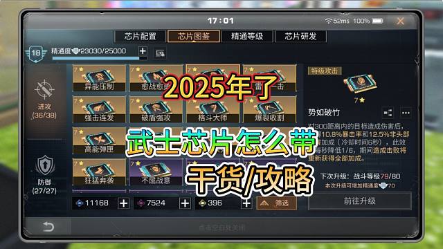 都2025年了，武士芯片怎么搭配才是最佳