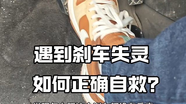 高速行驶遇到刹车失灵，新手该如何正确自救，避免不必要的事故发生