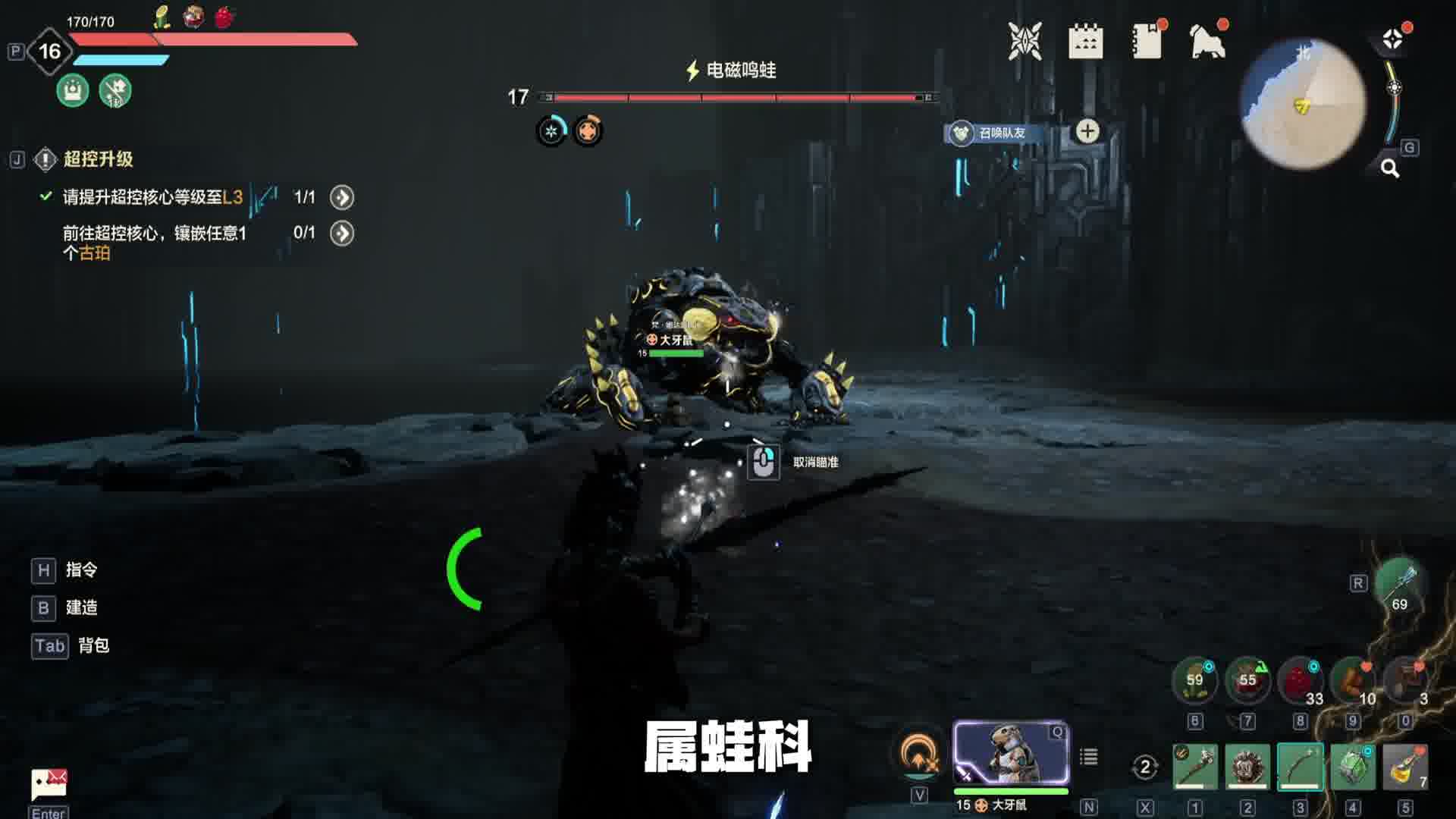 鉴定荒野热门生物视频4