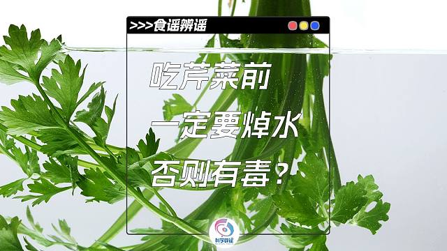 吃芹菜前不焯水真的有毒？快进来看看！