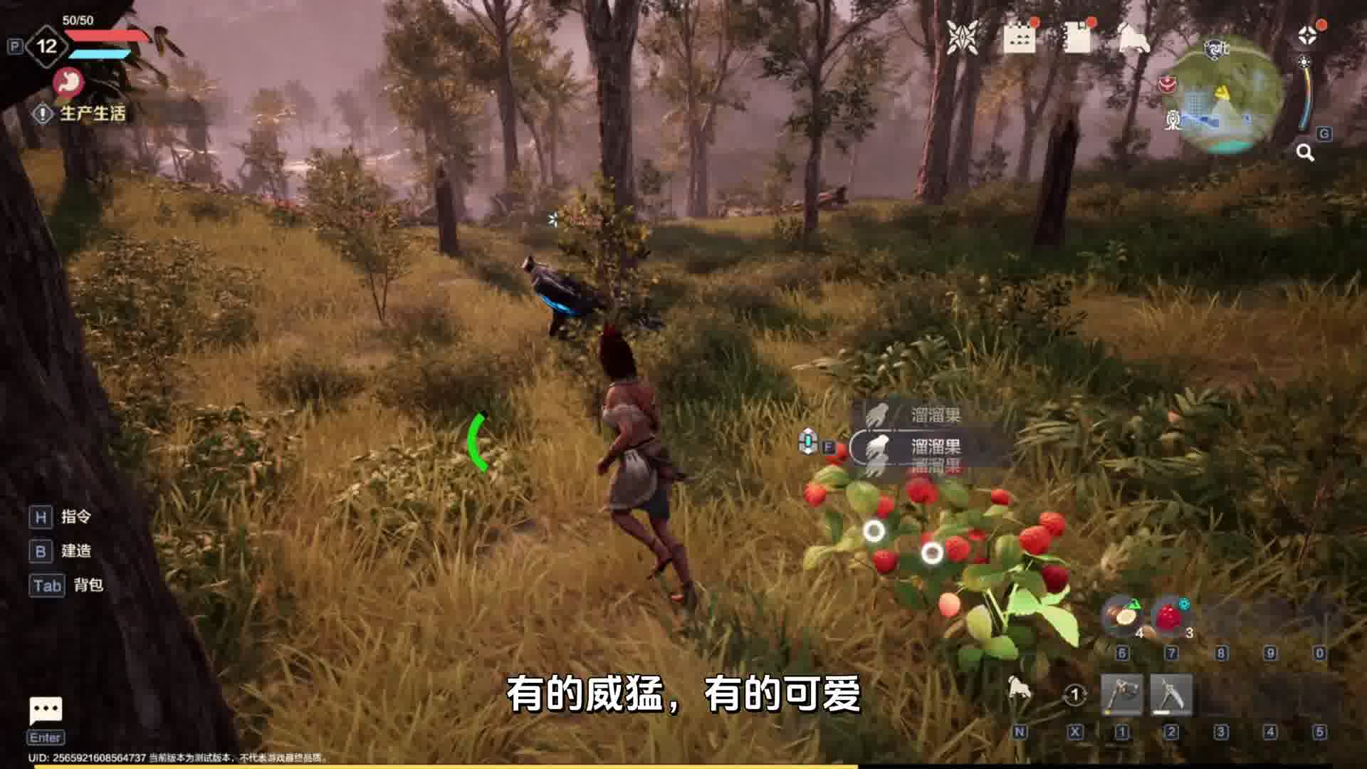 小荒的异世界求生日记（三）