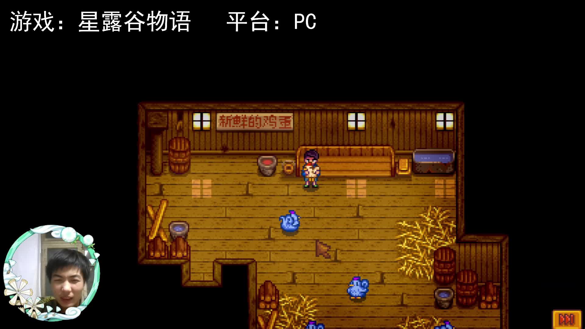 【星露谷物语】流传的故事，蓝色的鸡！