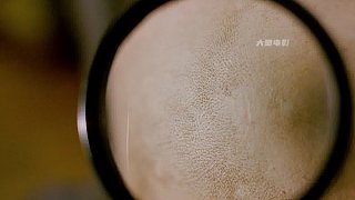 男孩擁有一頭可以無限生長的秀發(fā)