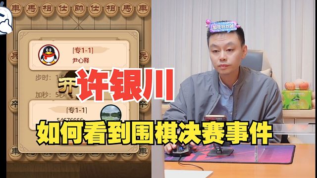 许银川怎么看待围棋决赛事件？