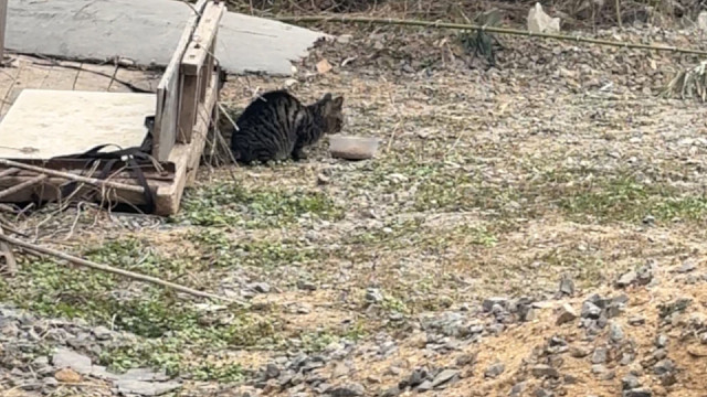 有时候觉得自己心软但却没有能力好难过