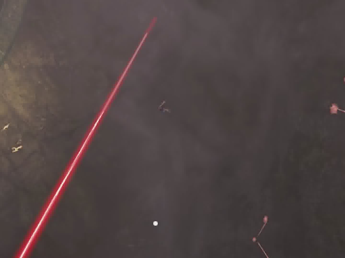 打车直接跑了？