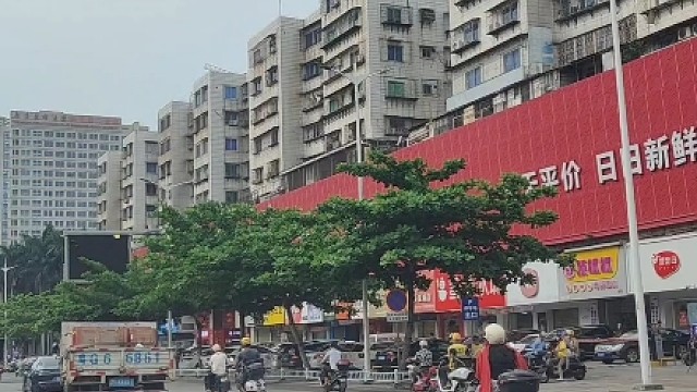 开车突然遇到小动物或障碍物，正确的紧急避险方法。 #交通安全 #安全出行 #汽车知识