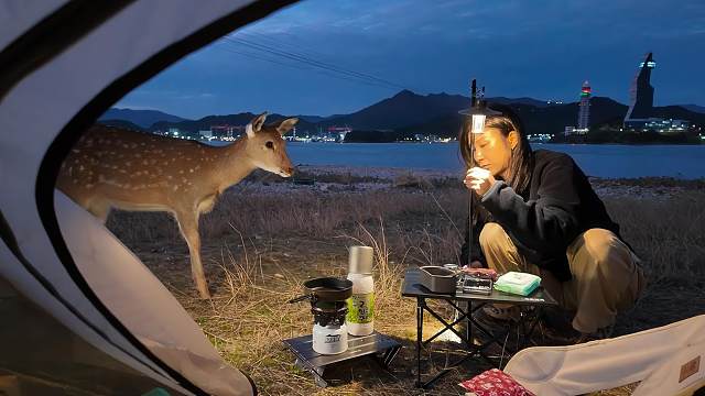 独自背包旅行，意外受伤，但岛屿的治愈力量让我重获新生！治愈野营 / 海岛野营 / 路虎玛丽