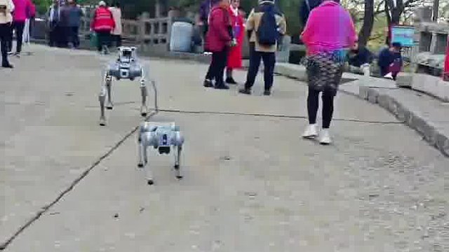 哪个爬山爬得过它嘛