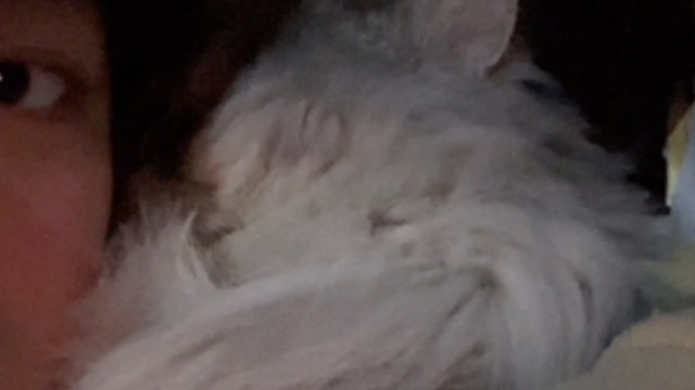 这不就是我亲生的宝宝吗