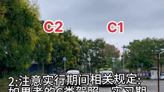 拿完驾驶证长期不开车，要注意两点#每天一个用车知识