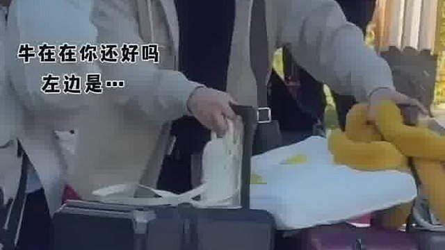 确定不是西天取经吗