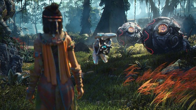 这就是荒野起源丰富的玛卡吗？