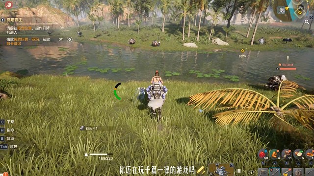 玩这款游戏的才不是小众哥